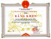bangkhenubndtinh (10).jpg