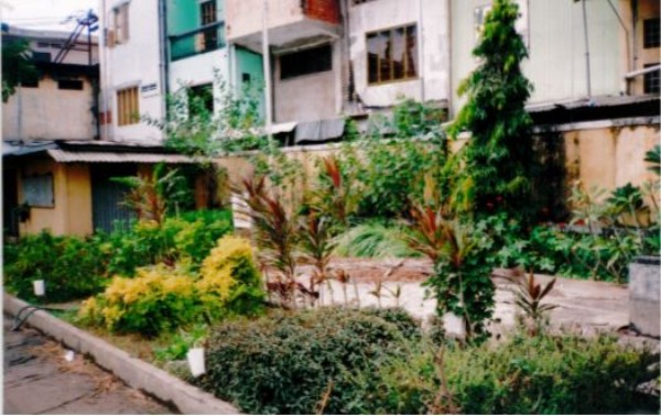 quangcanh-17.JPG