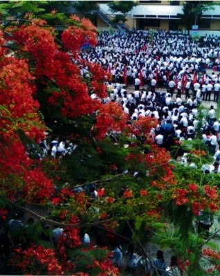 quangcanh-2.JPG