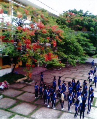 quangcanh-7.JPG