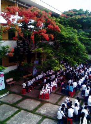 quangcanh-70.JPG