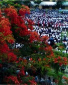 quangcanh-2.JPG