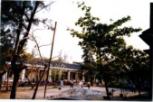 quangcanh-5.JPG