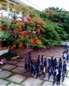 quangcanh-7.JPG